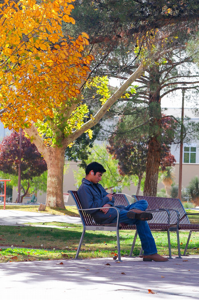 Student sitting on bench during fall